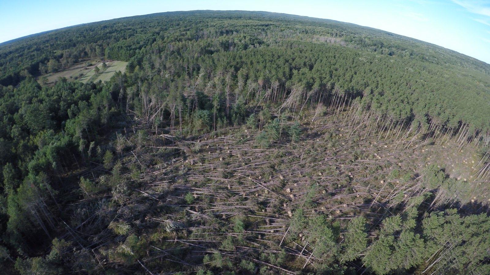 News from the Creek Home of the Ruby Creek